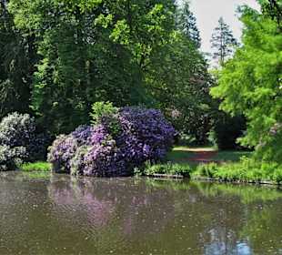 Rundgang durch den Schlossgarten Oldenburg