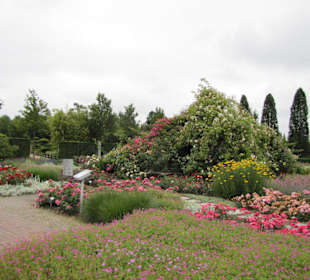 So sieht Sommerurlaub im Ammlerland aus