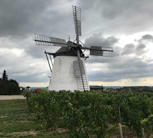 Retzer Windmühle