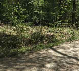 Wanderweg Hochgehwachsen