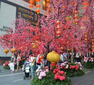 Shoppingcenter Pavilion