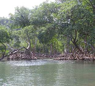 Nationalpark Los Haitises