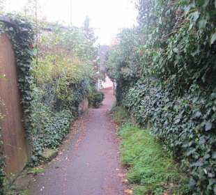 Weg zur Ruine Wachtenburg