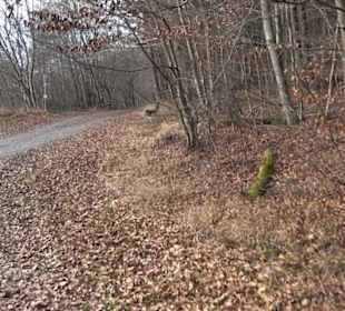 Schönbuch Schaichtal