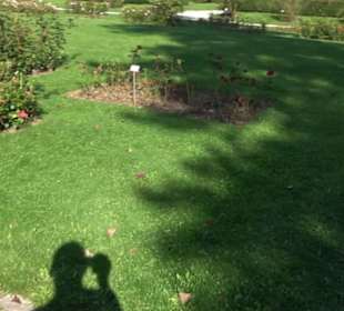 Botanischer Garten München