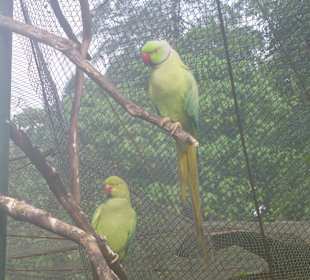 Vogelpark
