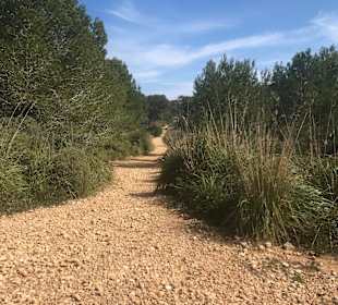 Wandern Cala Ratjada