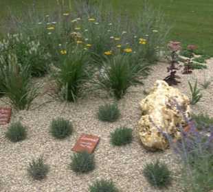 Blühendes Neresheim