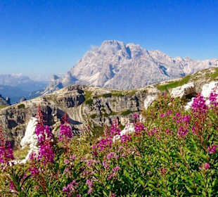In den Dolomiten
