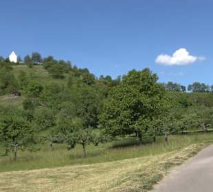 Früchtetrauf - Wurmlinger Kapellenwegle