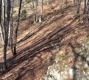 Naturerlebnispfad Meidelstetten