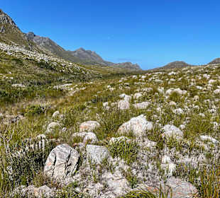 Kogelberg Nature Reserve