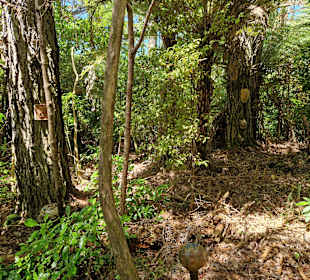 Mahara Sculpture Park and Pottery