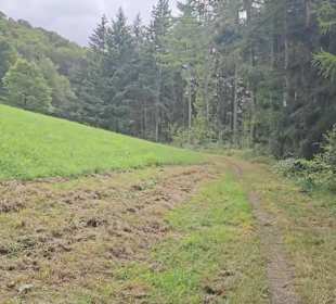 Premiumwanderweg „hochgehtürmt"