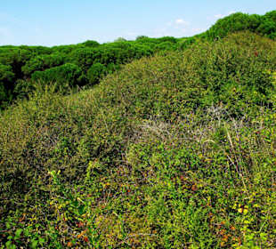 Das Dach vom Naturschutzgebiet