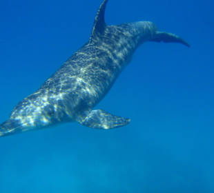 Bild vom Card Partner