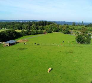Der neue Wildpark in Bad Marienberg