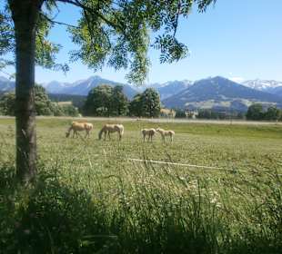 Wandern Ramsau am Dachstein