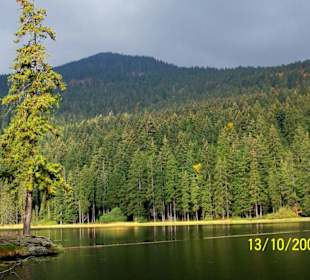 Rundweg um dem Arbersee