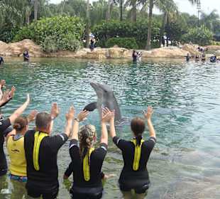 Unser Grüppchen im Seahorse Becken
