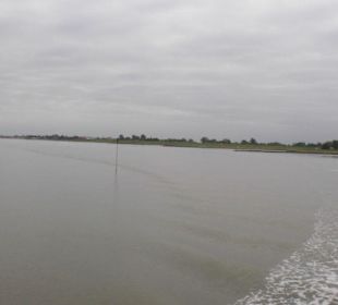 Ausflugsfahrt mit der WEGA 2