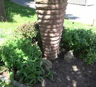 Belebte Skulptur von Jeanette Zippel