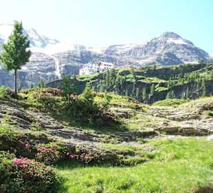 Weg zur Zufallhütte