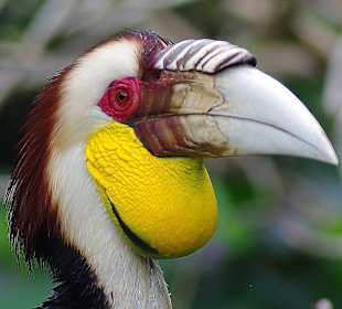 Bali Park Ptaków i Gadów