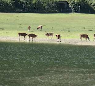 Klein Kanada zwischen Ruhpolding u. Reit im Winkel
