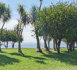 Stadtrundgang Calheta