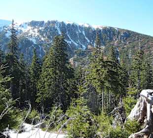 Karkonoski Park Narodowy