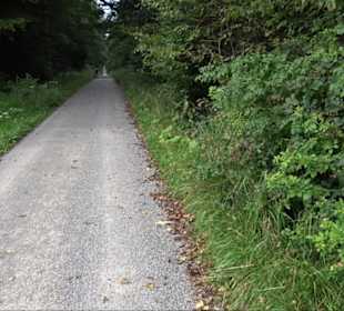 Sonnenaufgangs-Rundwanderung Rübgarten