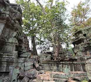 Ta Prohm