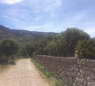 Wandern Can Picafort