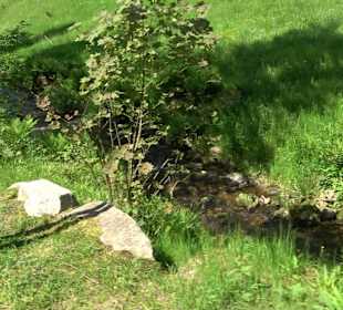 Wasserfälle Allerheiligen