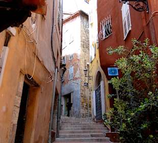 "Старый" Грасс