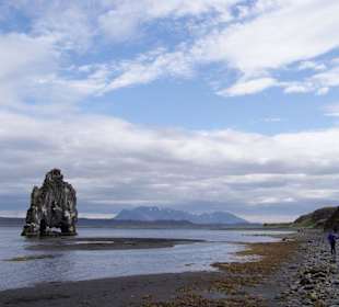 Hvitserkur - Umrundung der Vatnsnes Halbinsel