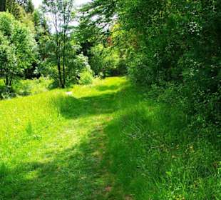 Wanderung zum Bärenfels