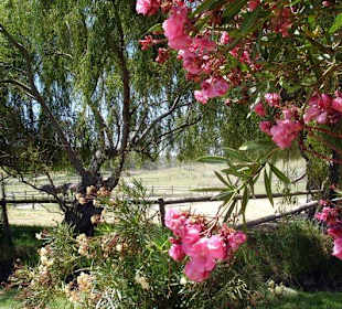 Wanderweg, Verkostung und Shopping