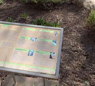 Apothekergarten Ettlingen