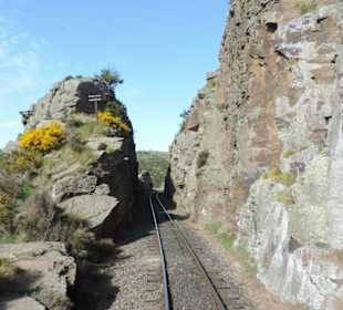 Mitder Taileri Railway durch die Natur Neuseelands