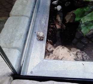 Tierpark Hellabrunn in München