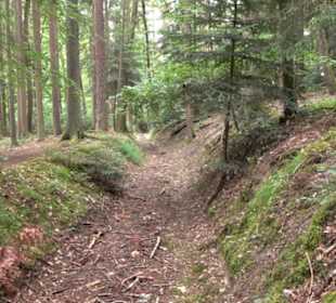 Wanderweg - Alter Steinbruch Pfaffenberg Runde