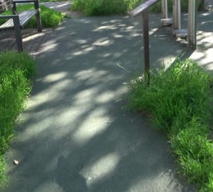 Seegarten-Anlage / Kurfürsten-Anlage