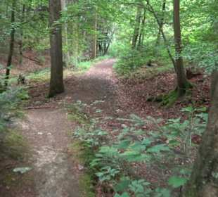 Pfaffenberg
