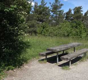 Naturschutzgebiet Hirschauer Berg