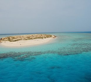 Insel mit Korallenriff im Roten Meer