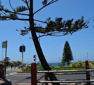 Bondi Beach