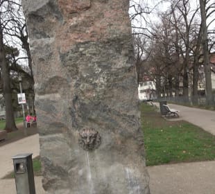 Brunnen Maille