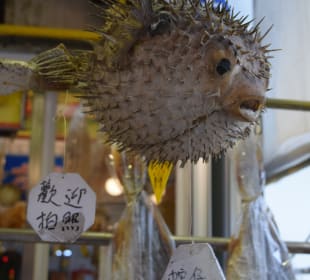 Fischerdorf Tai O